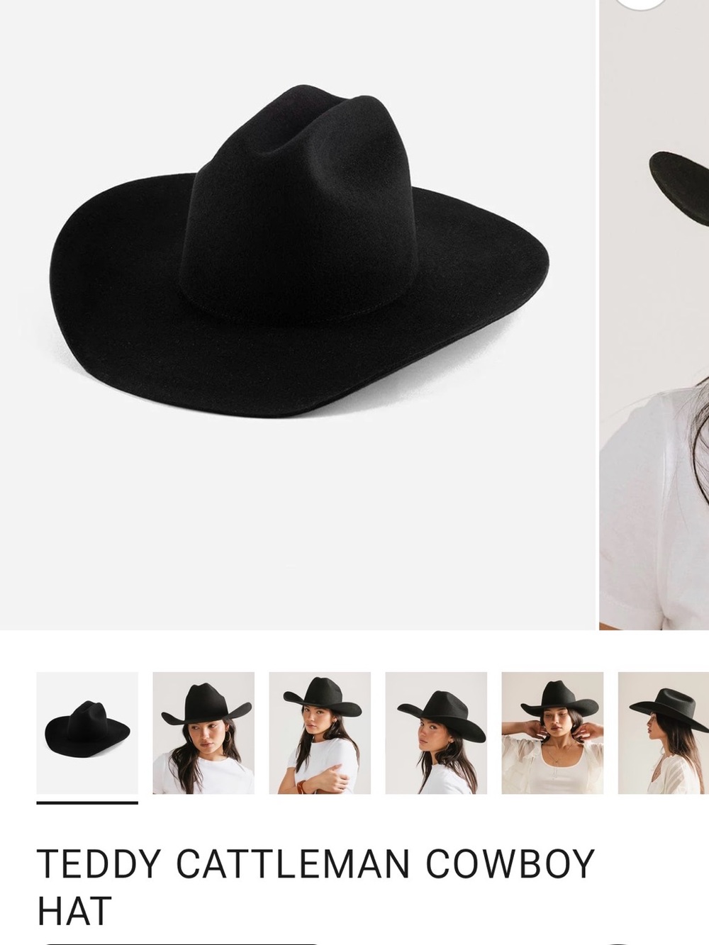 Viral GIGIPIP Teddy Cattleman Cowboy Hat - Black